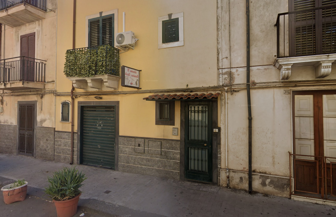 Rivendita Leocata Mangimi a Paternò – Il Mondo degli Animali di Asero Rosaria