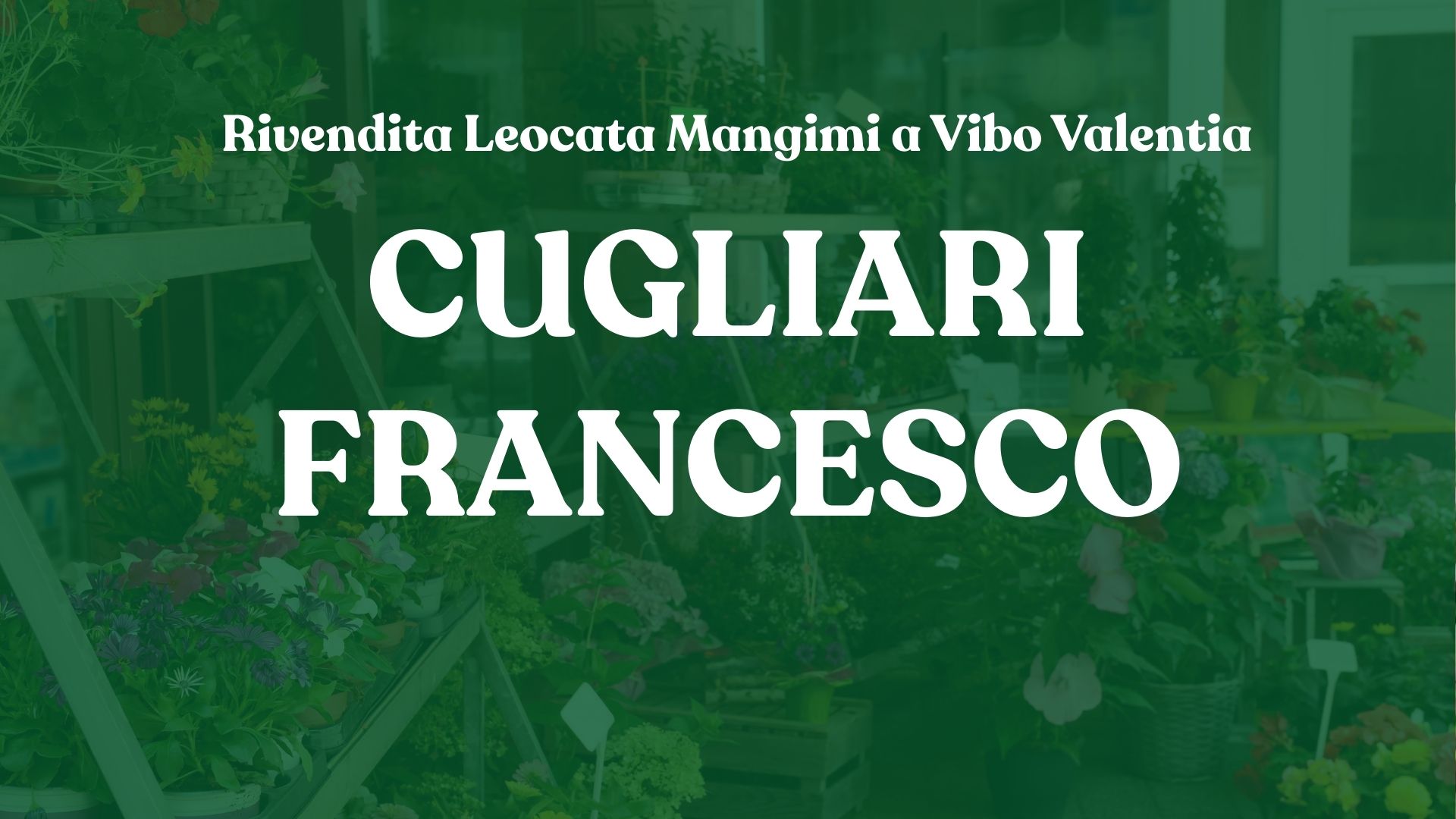 Rivendita Leocata Mangimi a Vibo Valentia – Cugliari Francesco