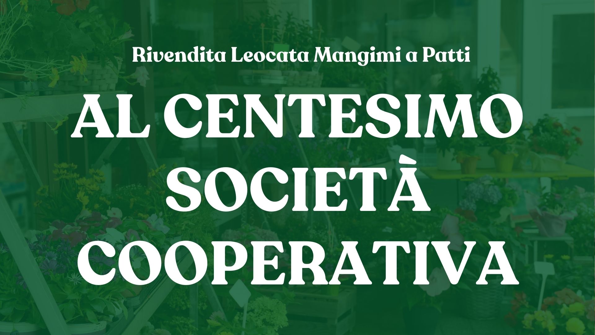 Rivendita Leocata Mangimi a Patti – Al Centesimo Società Cooperativa