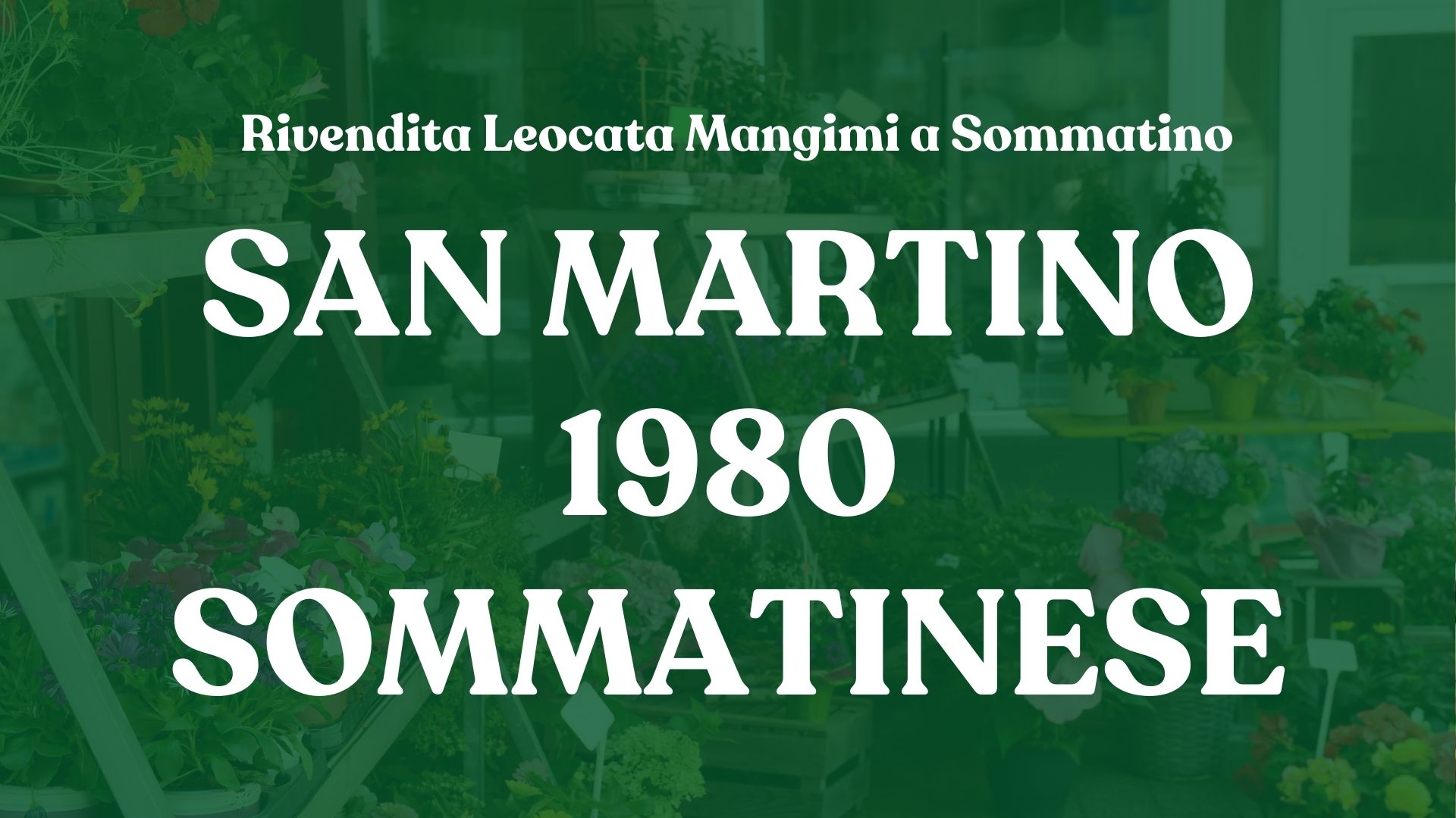 Rivendita Leocata Mangimi a Sommatino – San Martino 1980 Sommatinese