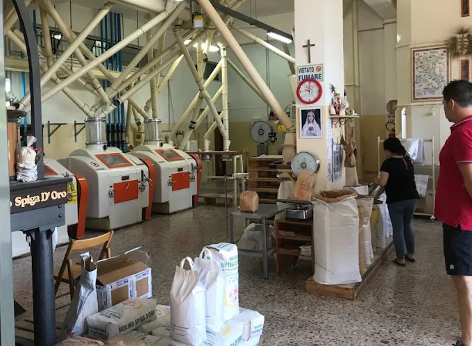 Rivendita Leocata Mangimi a Patti – Molino Spiga D’Oro di Finocchiaro Salvatore