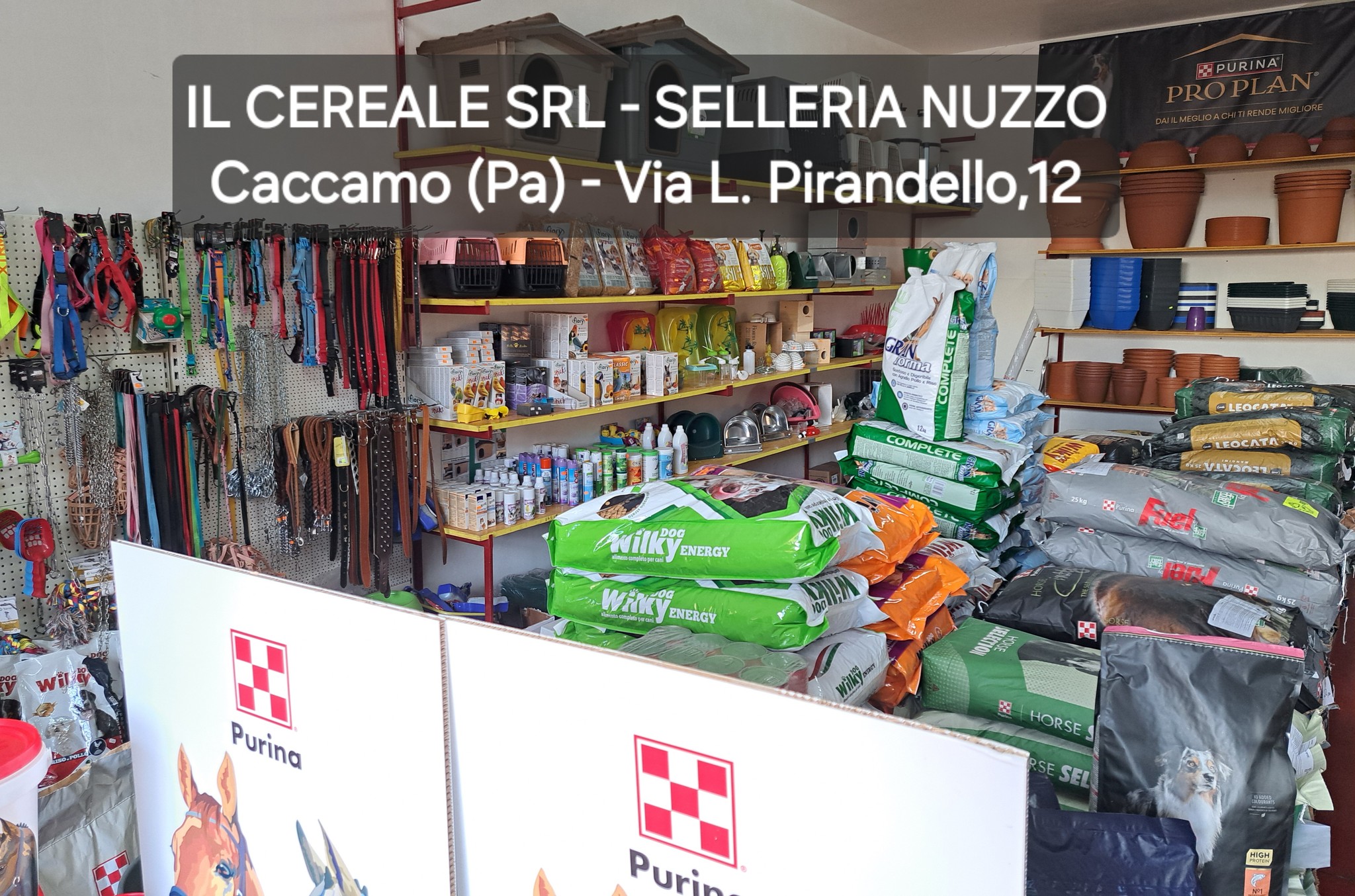 Rivendita Leocata Mangimi a Caccamo – Il Cereale S.r.l.