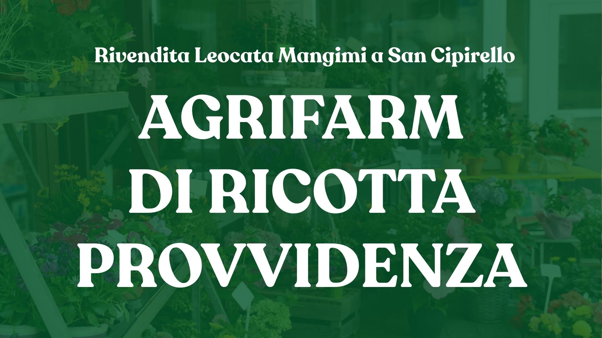 Rivendita Leocata Mangimi a San Cipirello – Agrifarm di Ricotta Provvidenza