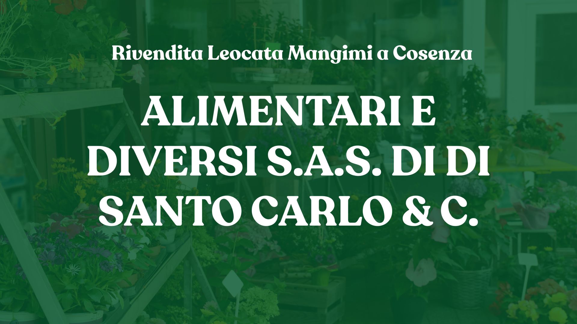 Rivendita Leocata Mangimi a Paola – Alimentari e Diversi S.A.S. di Di Santo Carlo & C.