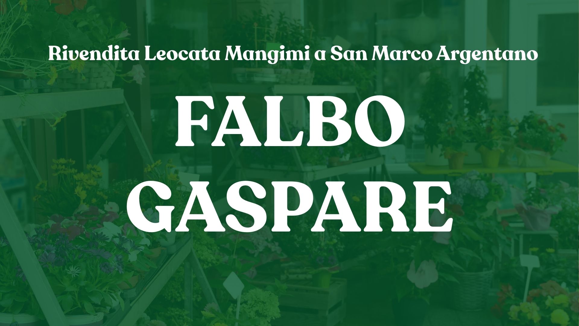 Rivendita Leocata Mangimi a San Marco Argentano – Falbo Gaspare