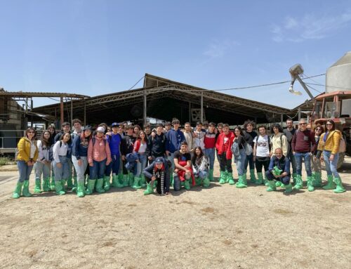 Gli alunni dell’IISS G. Ferraris di Acireale in visita alla Leocata Mangimi