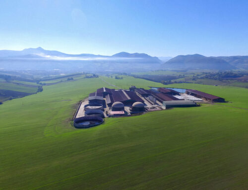 S.Sofia di Ferrone: tradizione e innovazione nel cuore della Lucania