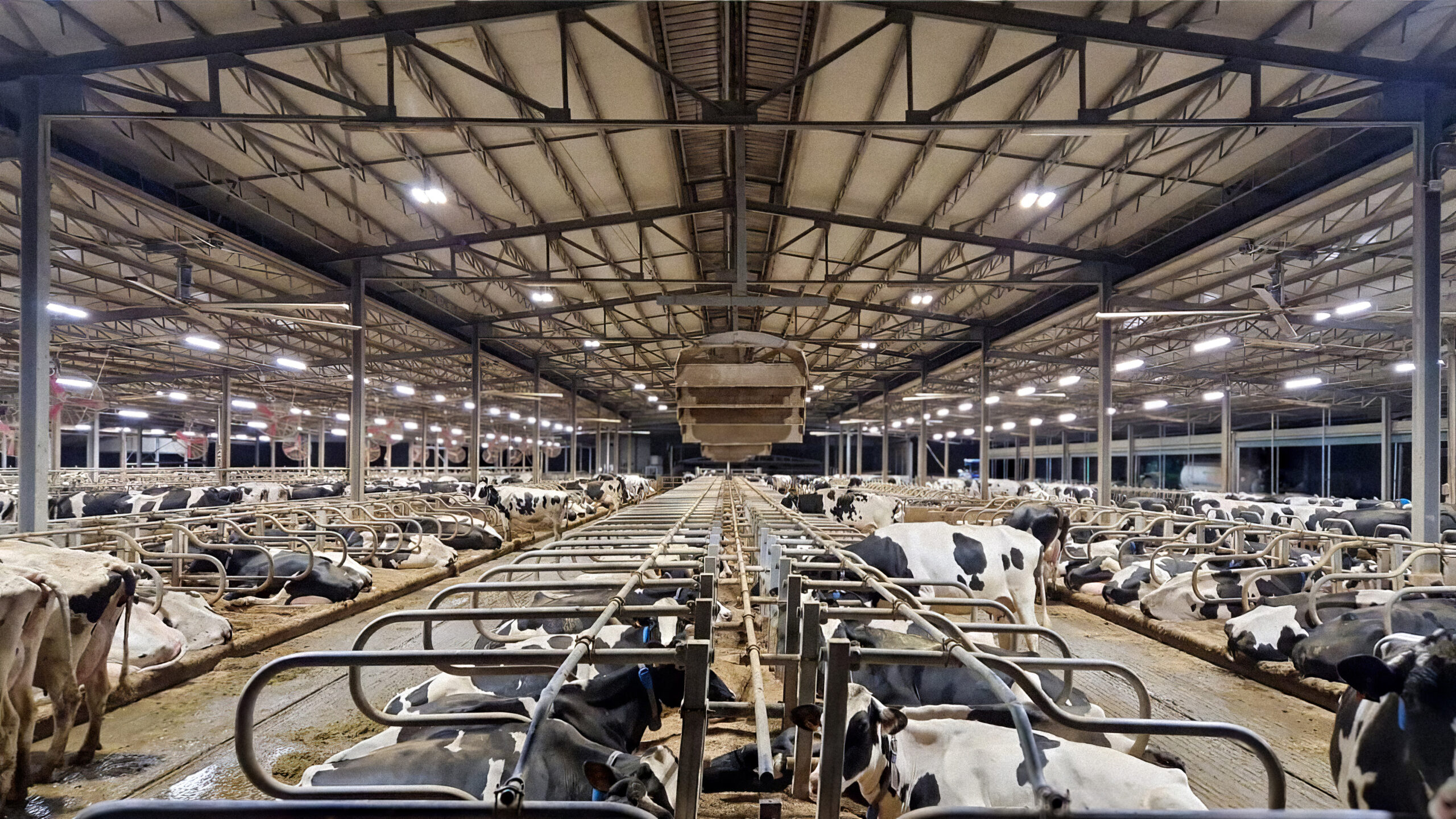 Ferrone 3-topaz-enhance-2.9x