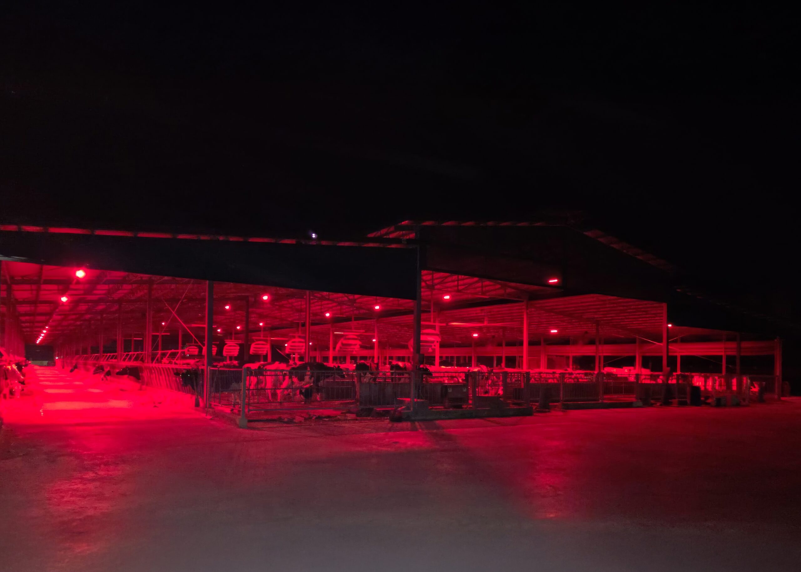 Ferrone 6-topaz-enhance-2.1x