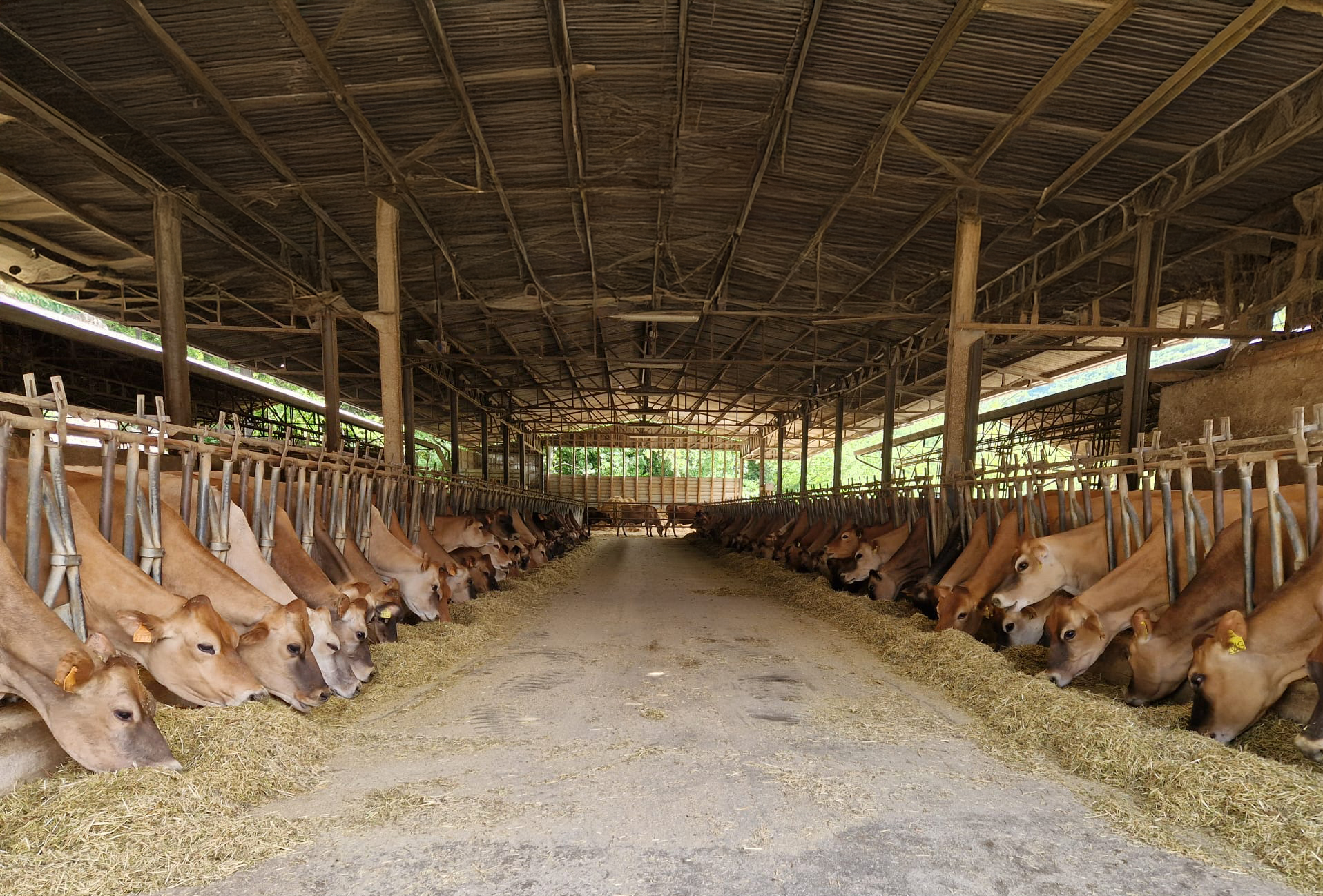 Immagine WhatsApp 2025-10-14 ore 12.12.25_66266c60