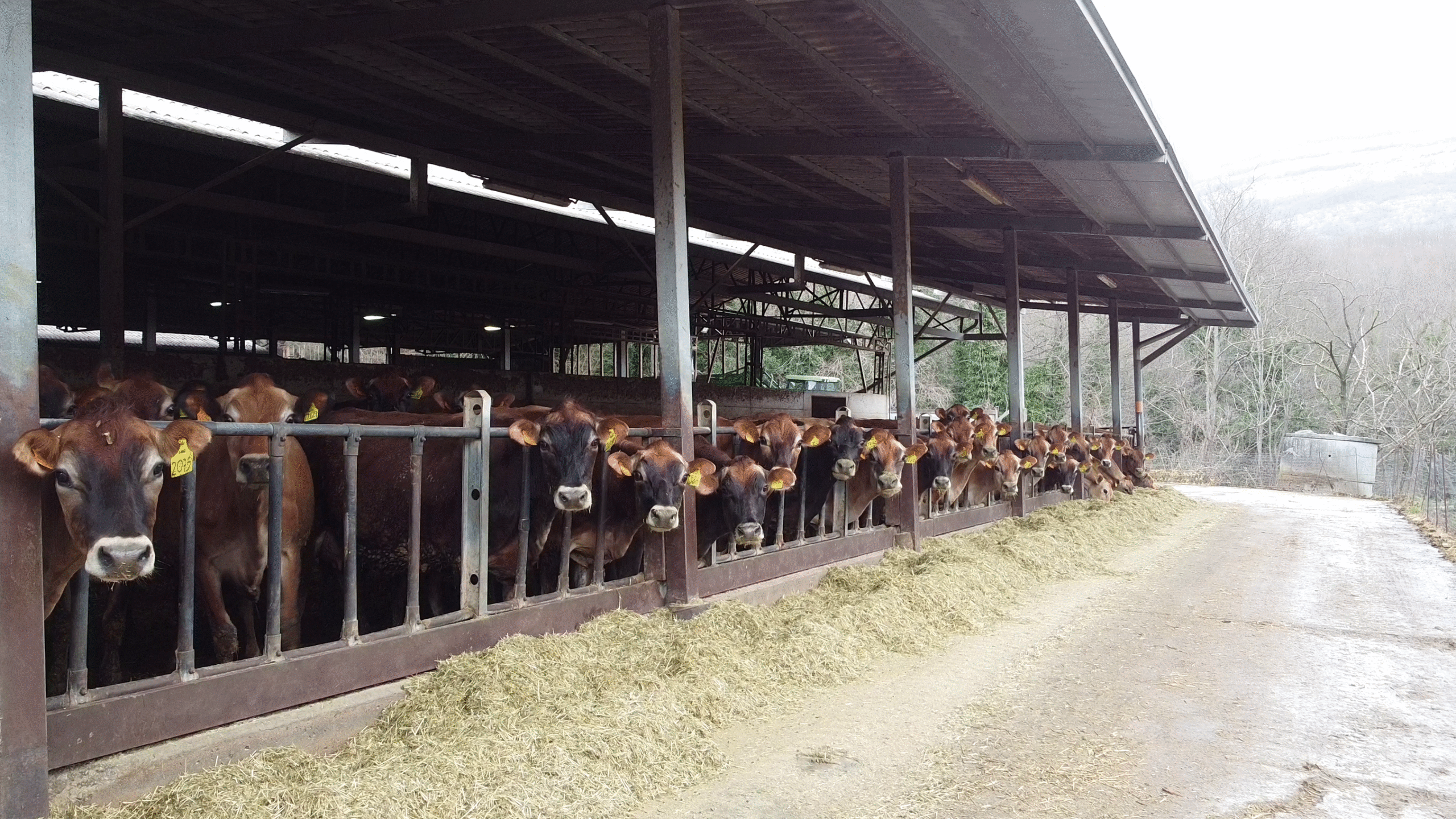 vlcsnap-2025-10-14-12h02m57s005