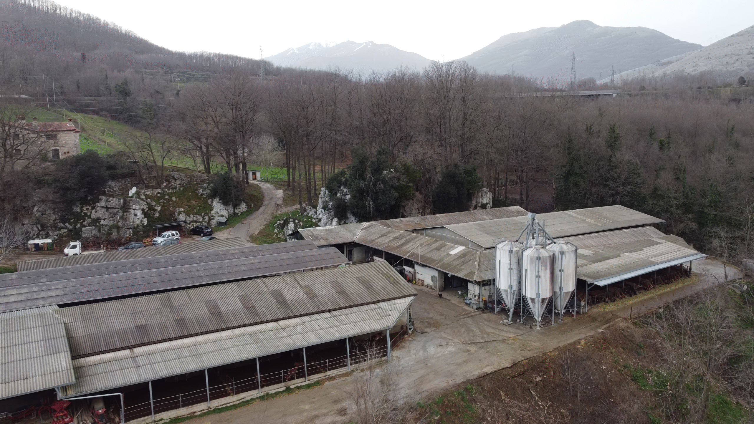 vlcsnap-2025-10-14-12h03m32s187-topaz-enhance-1.7x