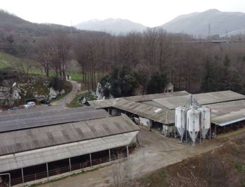 Azienda agricola Gennaro Bonomo – Fattoria didattica