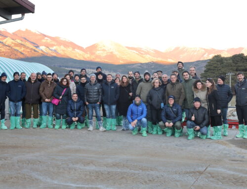 EDF Italia sul Pollino: 2026, l’anno della zootecnia da latte tra tradizione e futuro