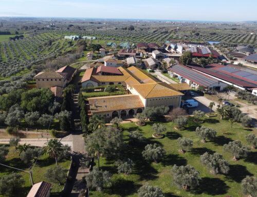 I nostri clienti tra le eccellenze italiane nella produzione di proteine nel latte